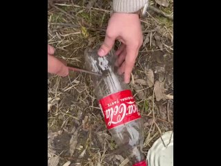 SURVIVAL bushcraft skills: camping lifehacks outdoors forest asmr