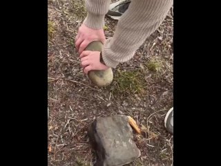 SURVIVAL bushcraft skills: camping lifehacks outdoors forest asmr