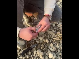 SURVIVAL bushcraft skills: camping lifehacks outdoors forest asmr